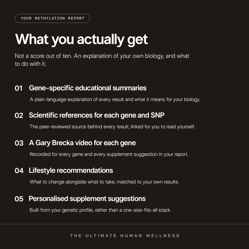 The Ultimate Human Wellness Genetic Methylation Test Kit - Image 5