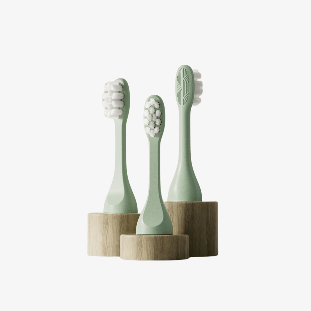 SURI Sonic Replacement Heads - Winter Fern - Image 2