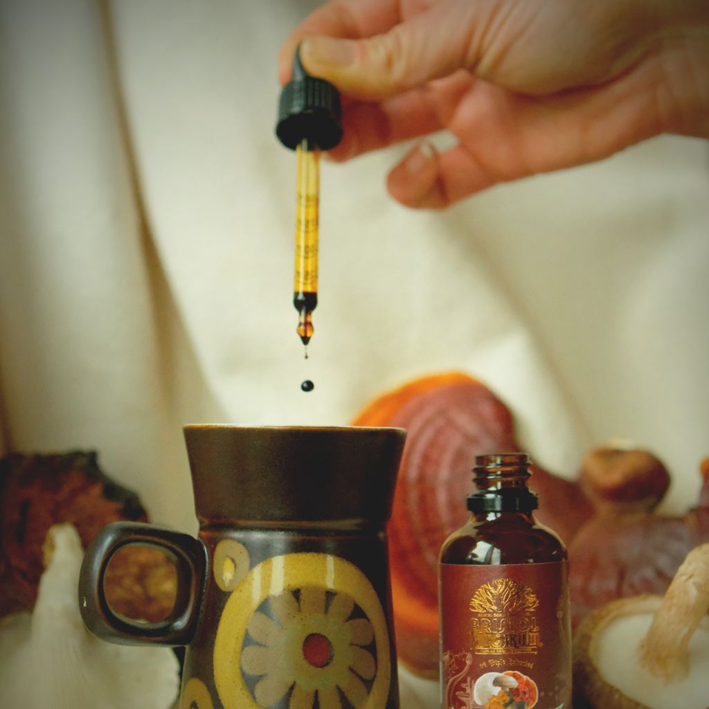 Resilience Blend Mushroom Tincture - Image 4