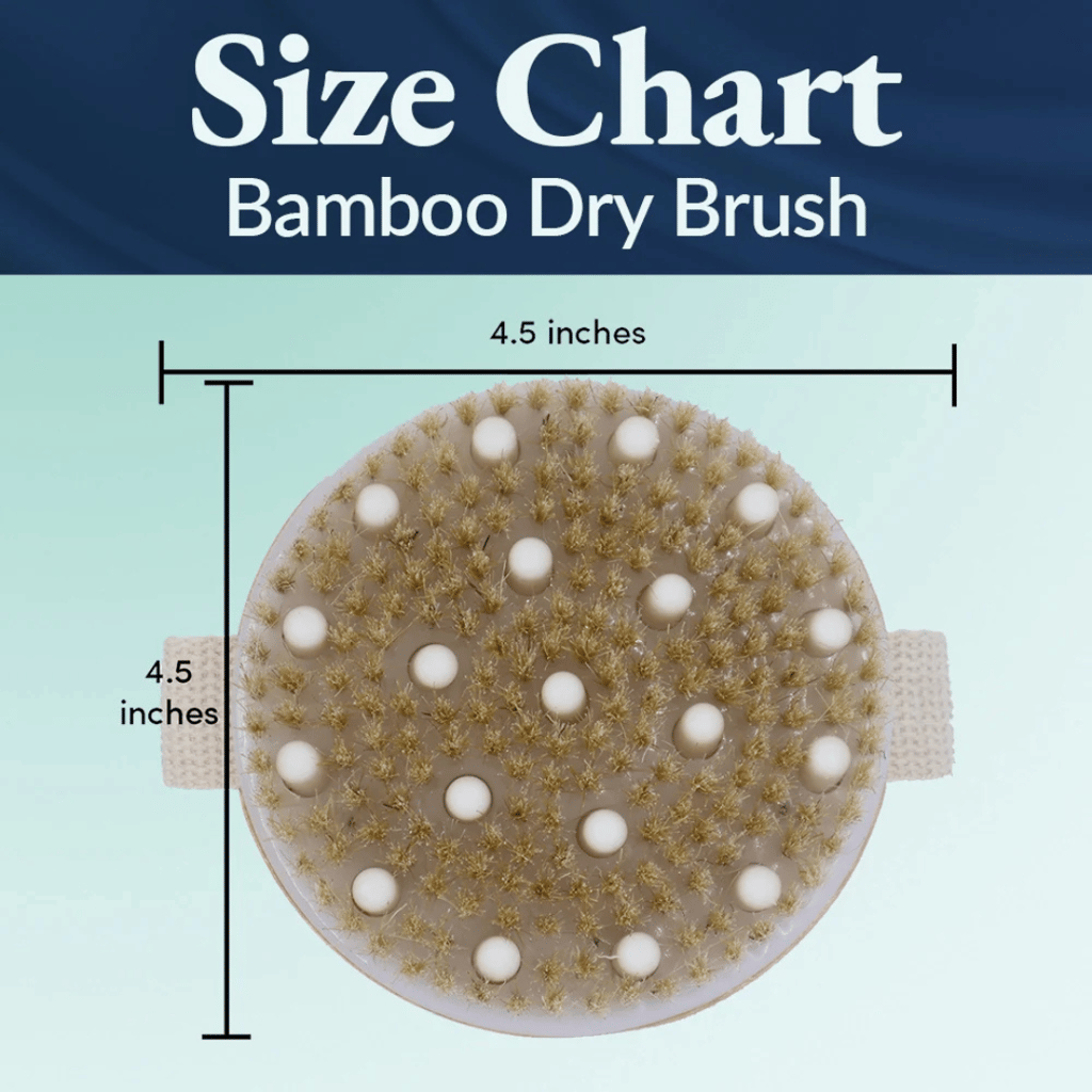 Bamboo Dry Brush - Image 4