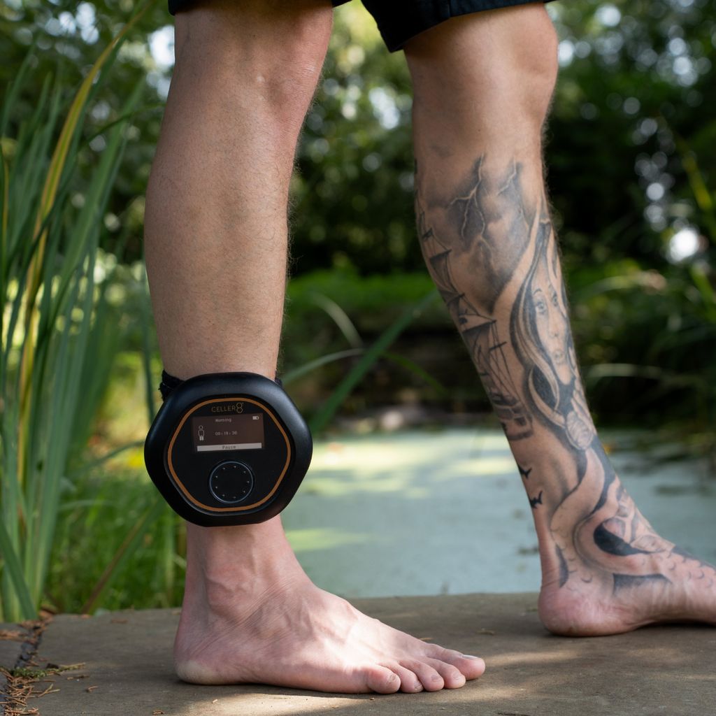 Full Body and Localised Premium PEMF System - Image 7