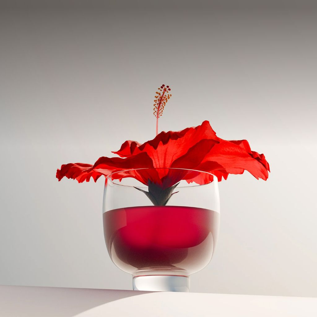 Hormone Balance - Hibiscus Tea - Image 4