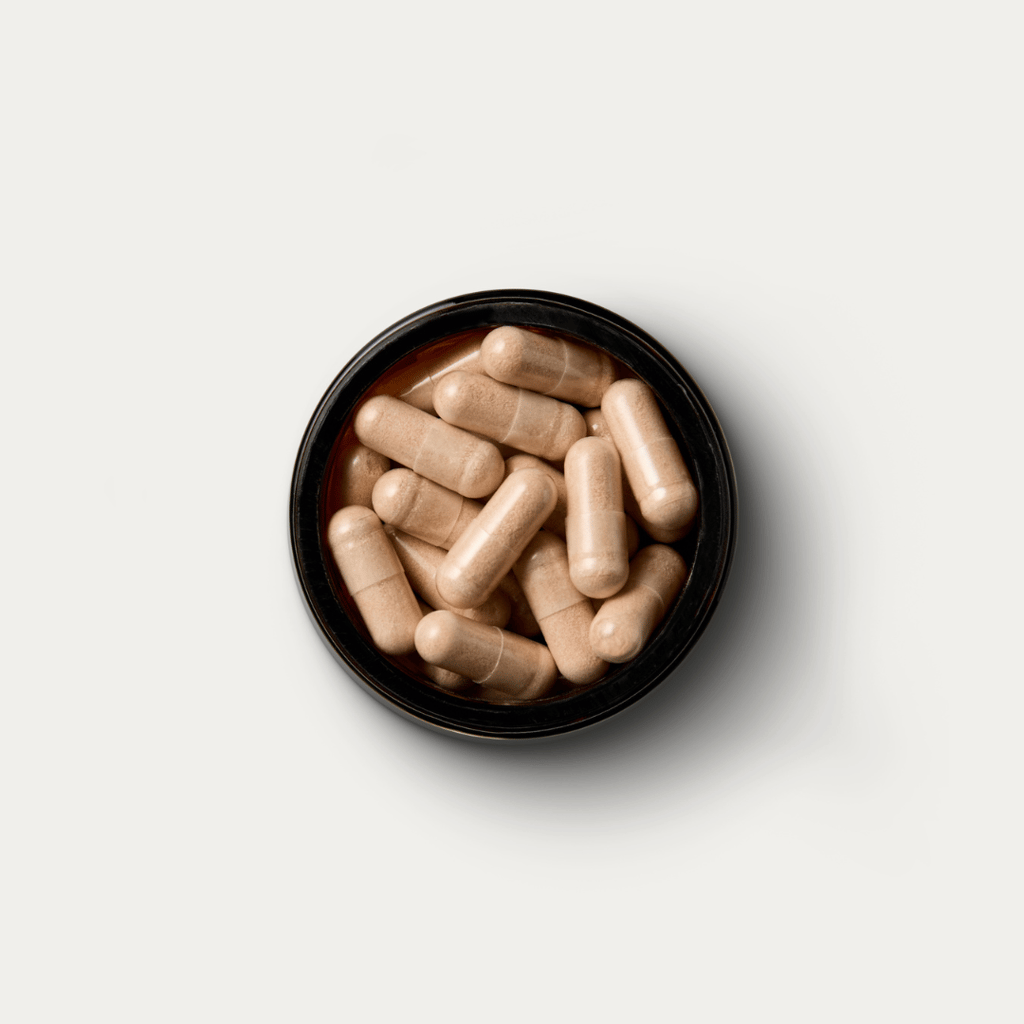 Cordyceps Mushrooms - Image 2