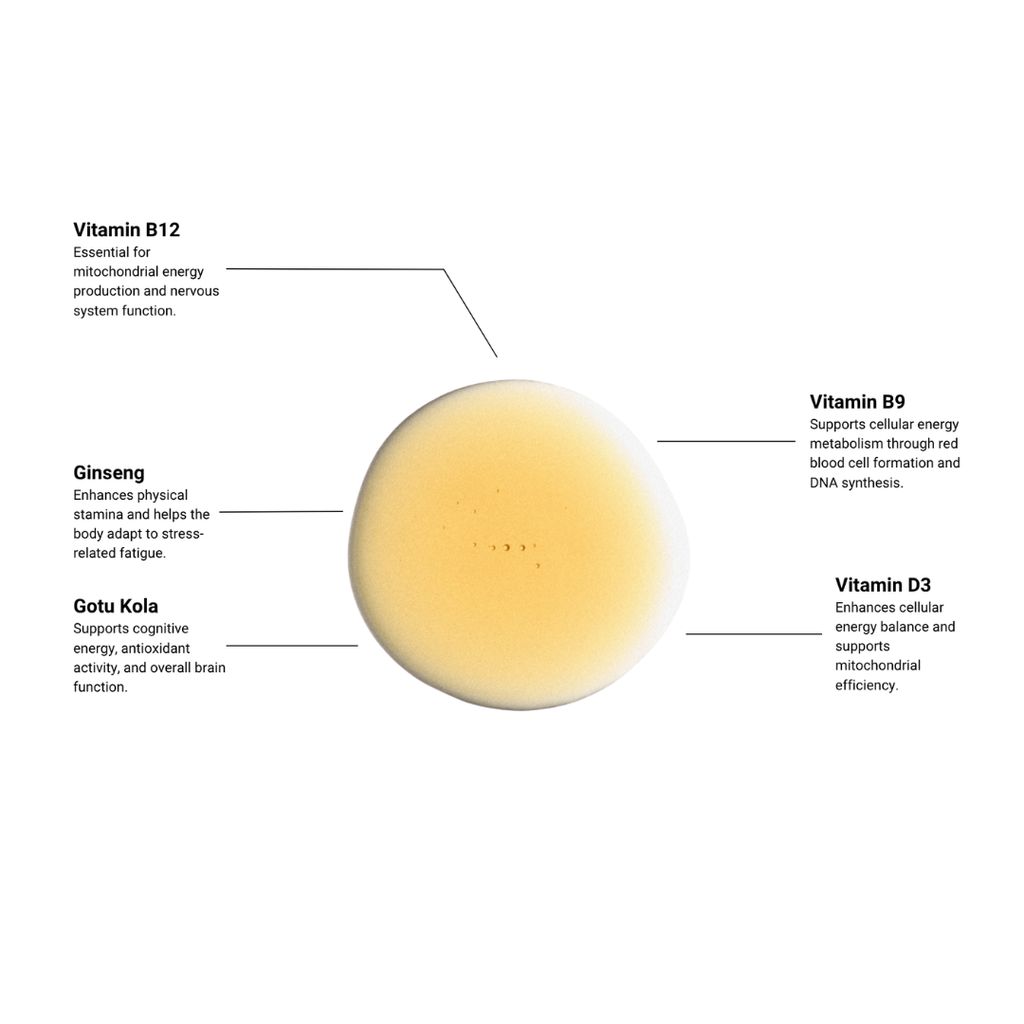Wake Up Call | Liquid Energy Supplement - B12, Ginseng & Gotu Kola - Image 3