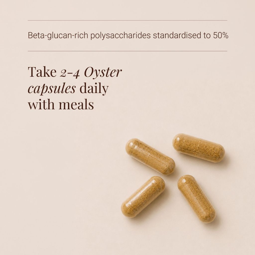 Oyster Mushroom Extract - Image 3