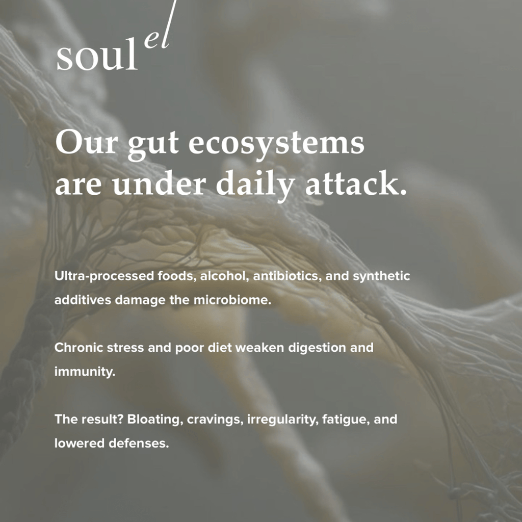 Organic Biota - Image 3