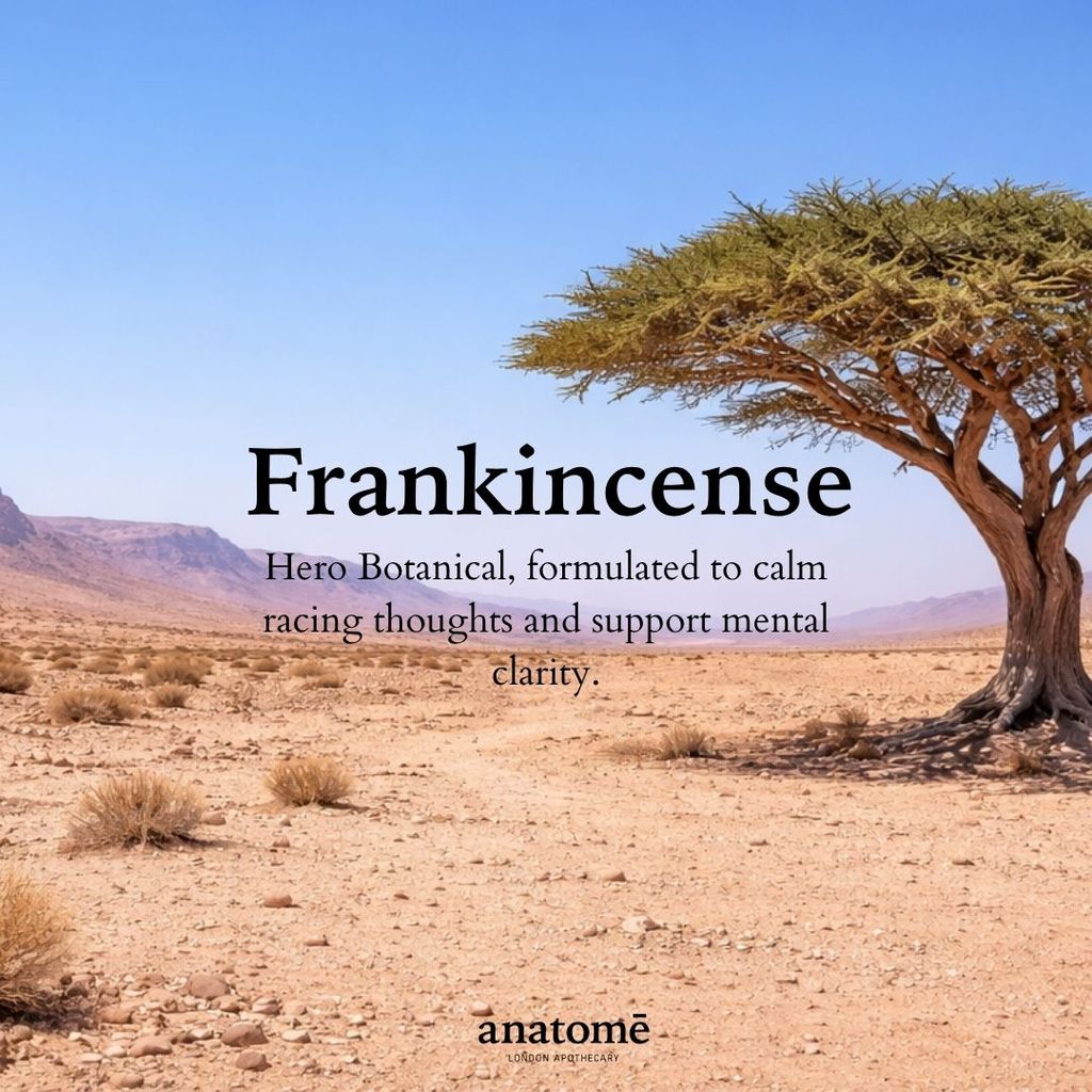 Little GIFT OF GOOD SLEEP - Somali Frankincense I 10ml sensory point oil + 10ml pillow spray - Image 2