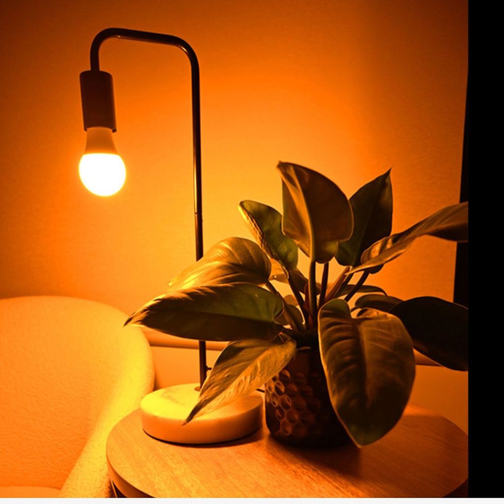 Full Spectrum Light Bulb - E27 - Image 3
