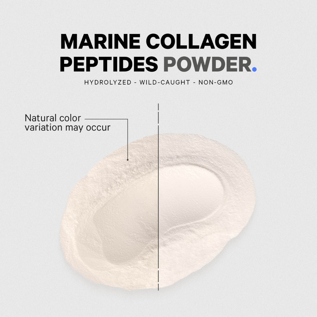 Wild gefangene marine Kollagenpeptide - Image 5