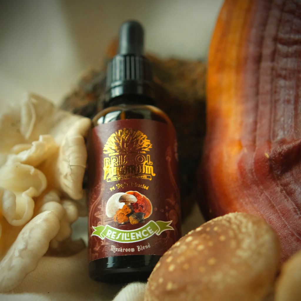 Resilience Blend Mushroom Tincture - Image 5