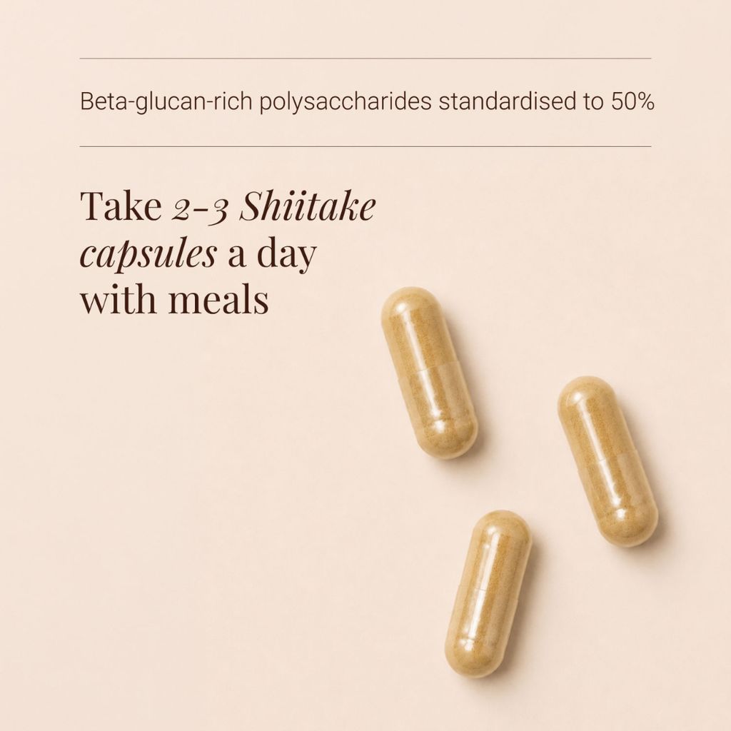 Shiitake Extract - Image 3