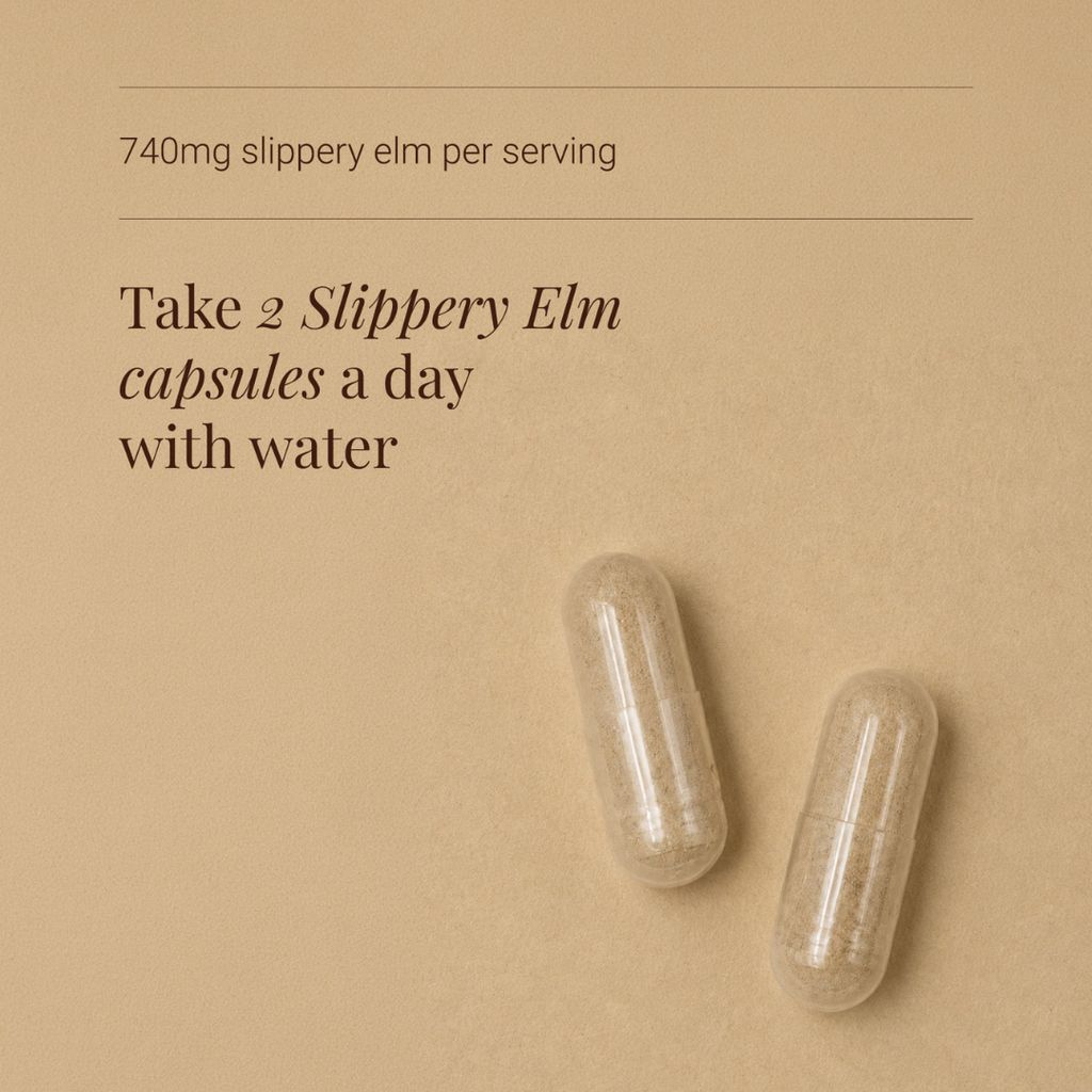 Slippery Elm Capsules - Image 3