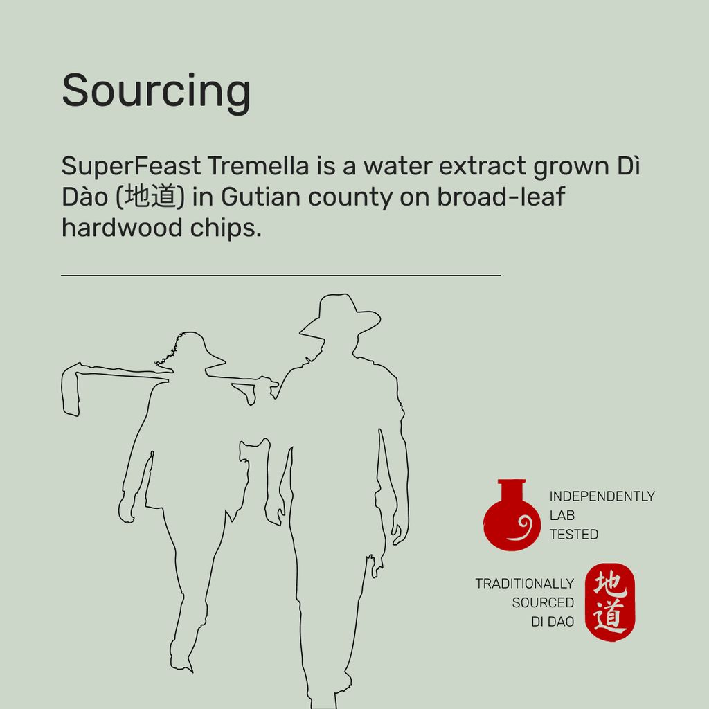 Tremella Mushroom - Image 6