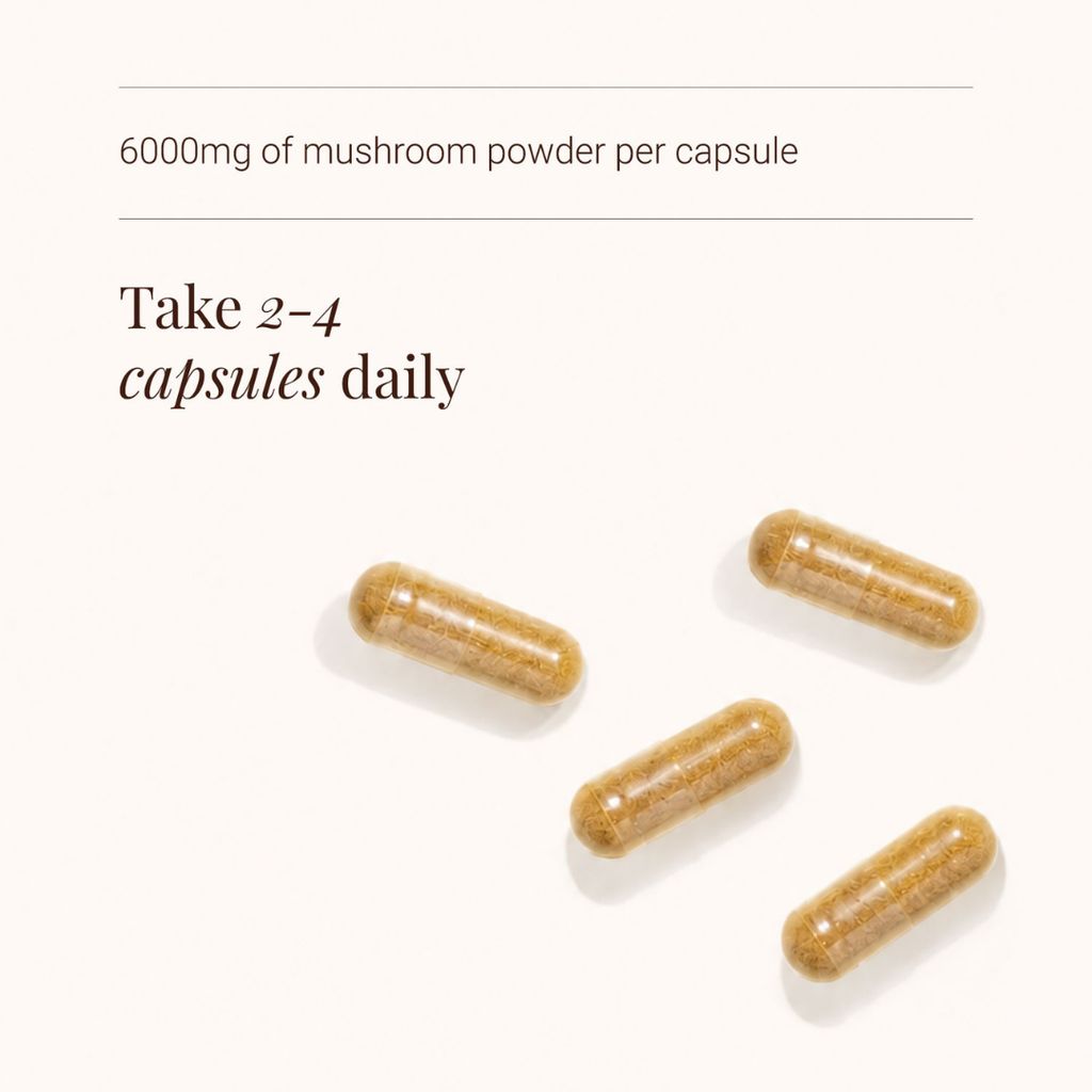 Cordyceps Extract - Vegetarian Capsules - Image 3