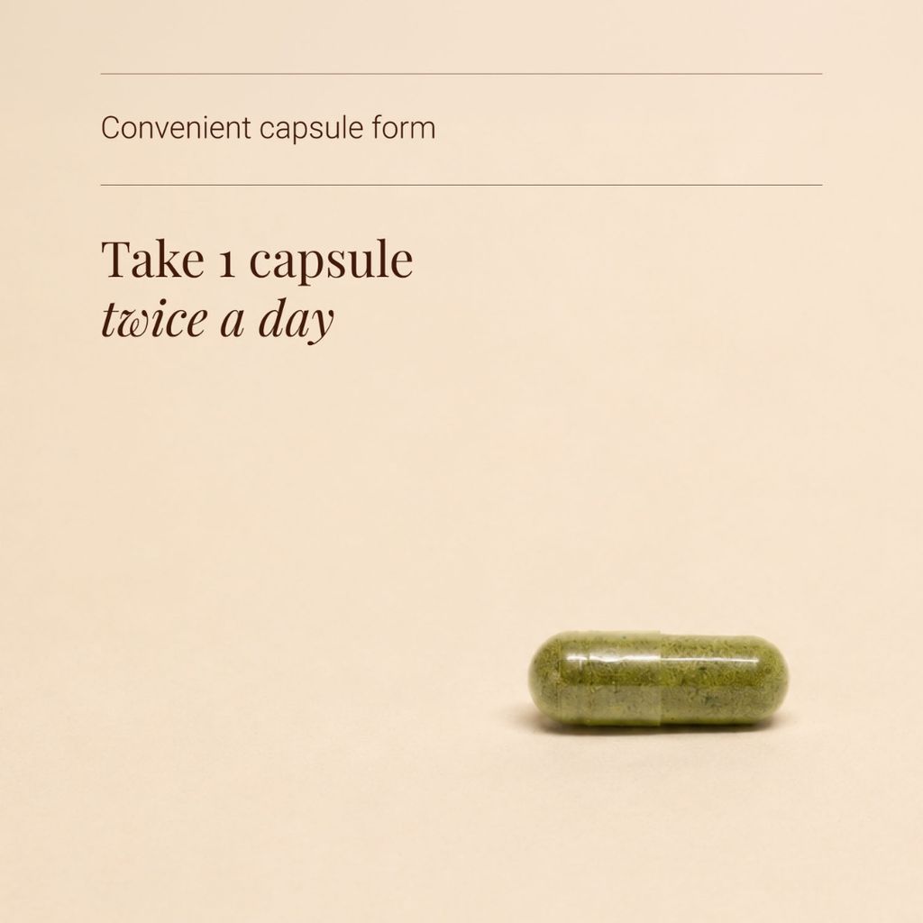 Moringa Leaf - Image 3