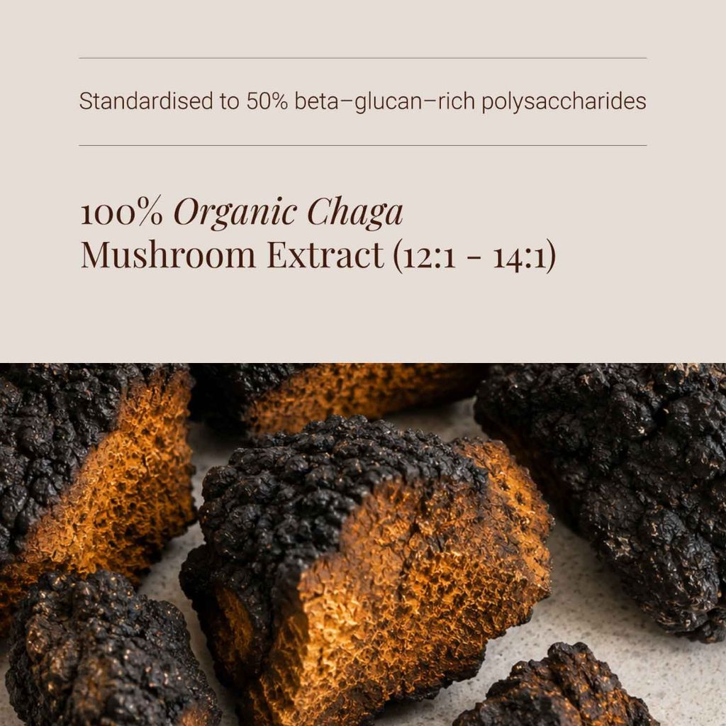 Chaga Extract Tincture - Image 4