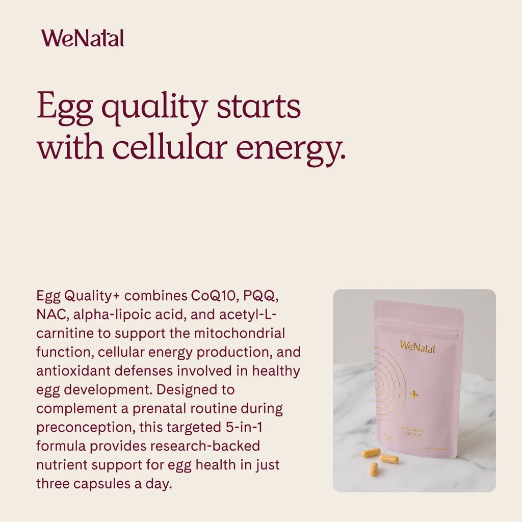 Egg Quality + - Image 5