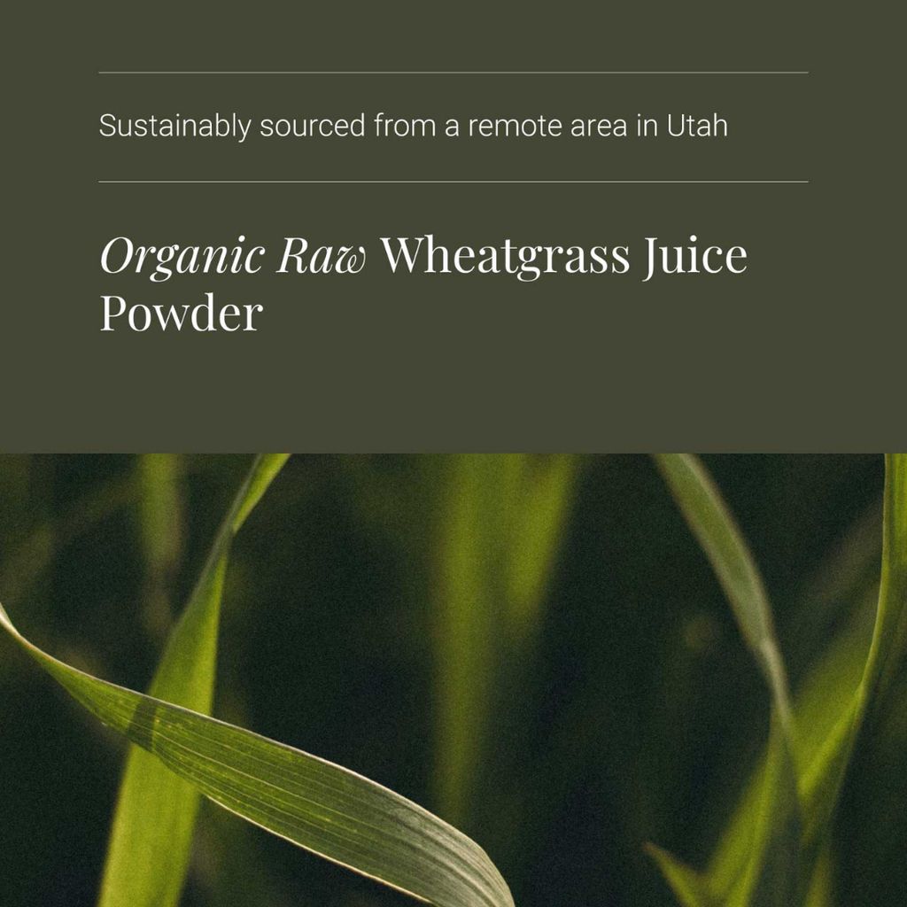 Wheatgrass Juice - Powder - Image 4