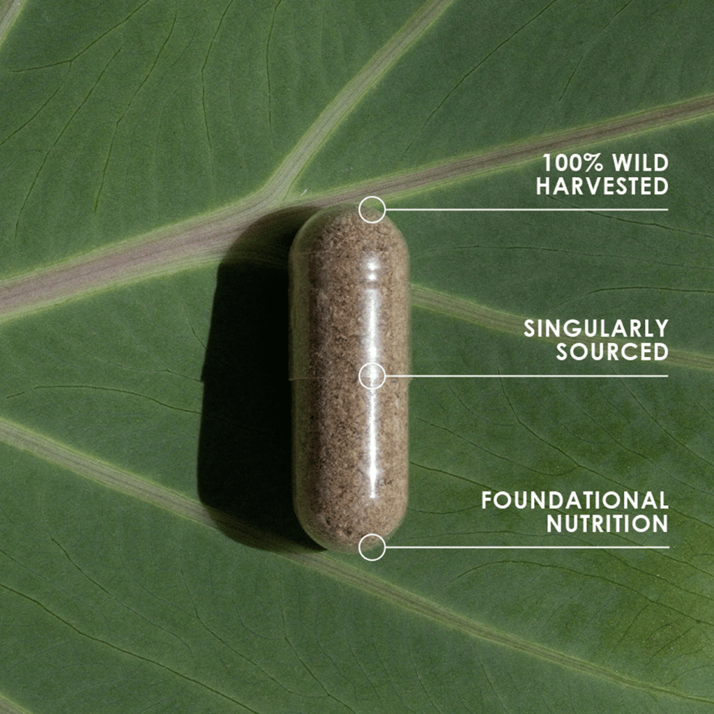 Organ Blend Supplement - Image 4