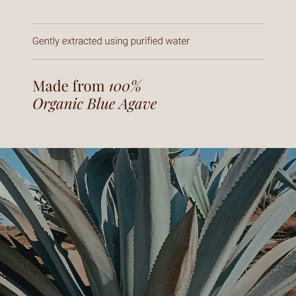 Blue Agave Inulin Powder - Image 4