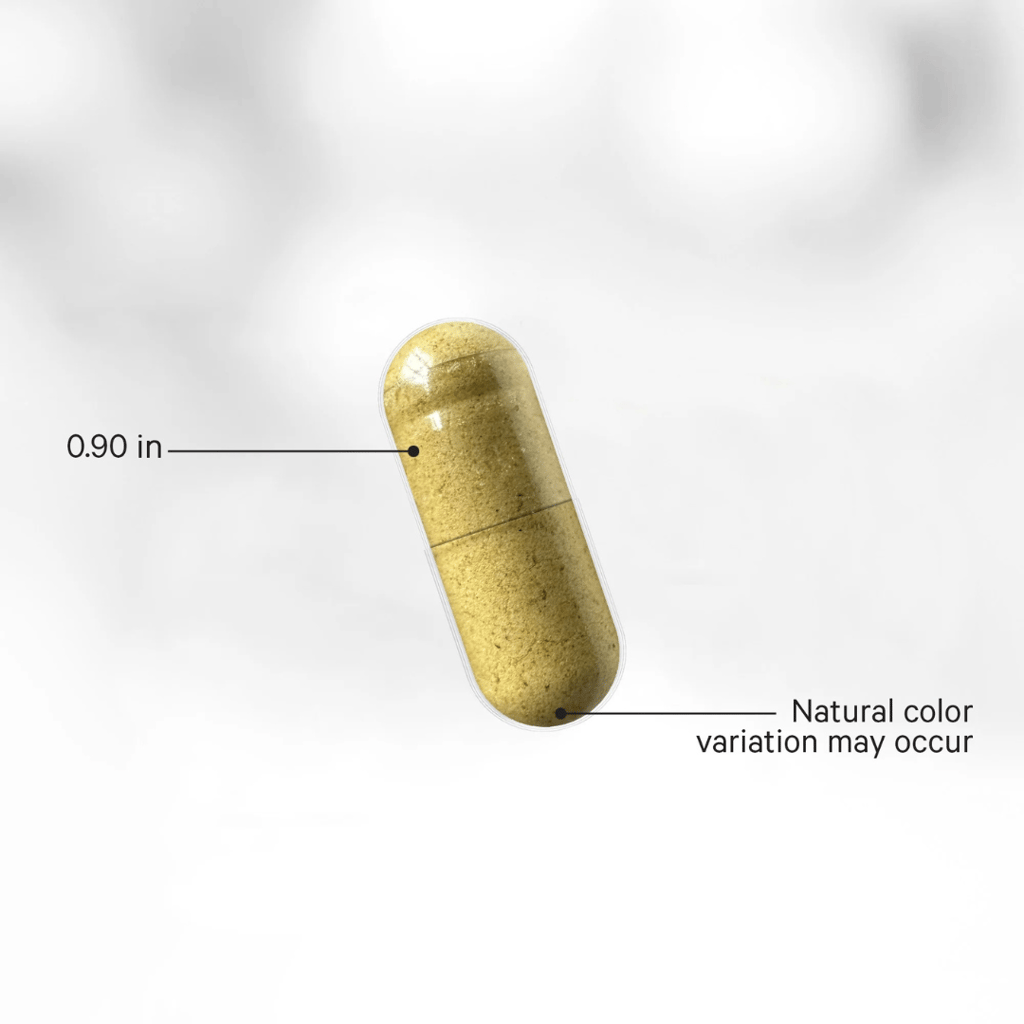 Fermentierte Verdauungsenzyme + Kapseln - Image 3