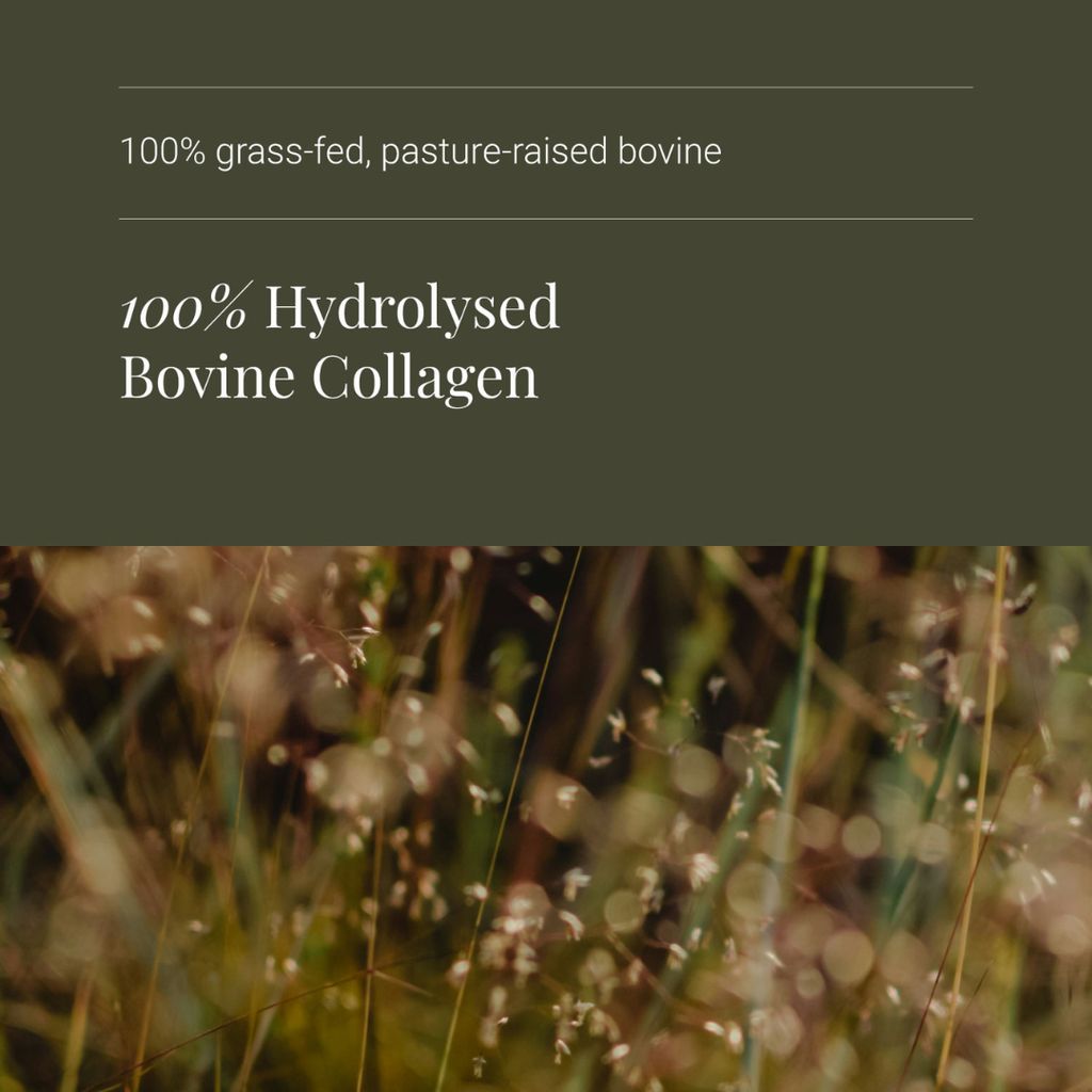 Collagen Peptides - Capsules - Image 4