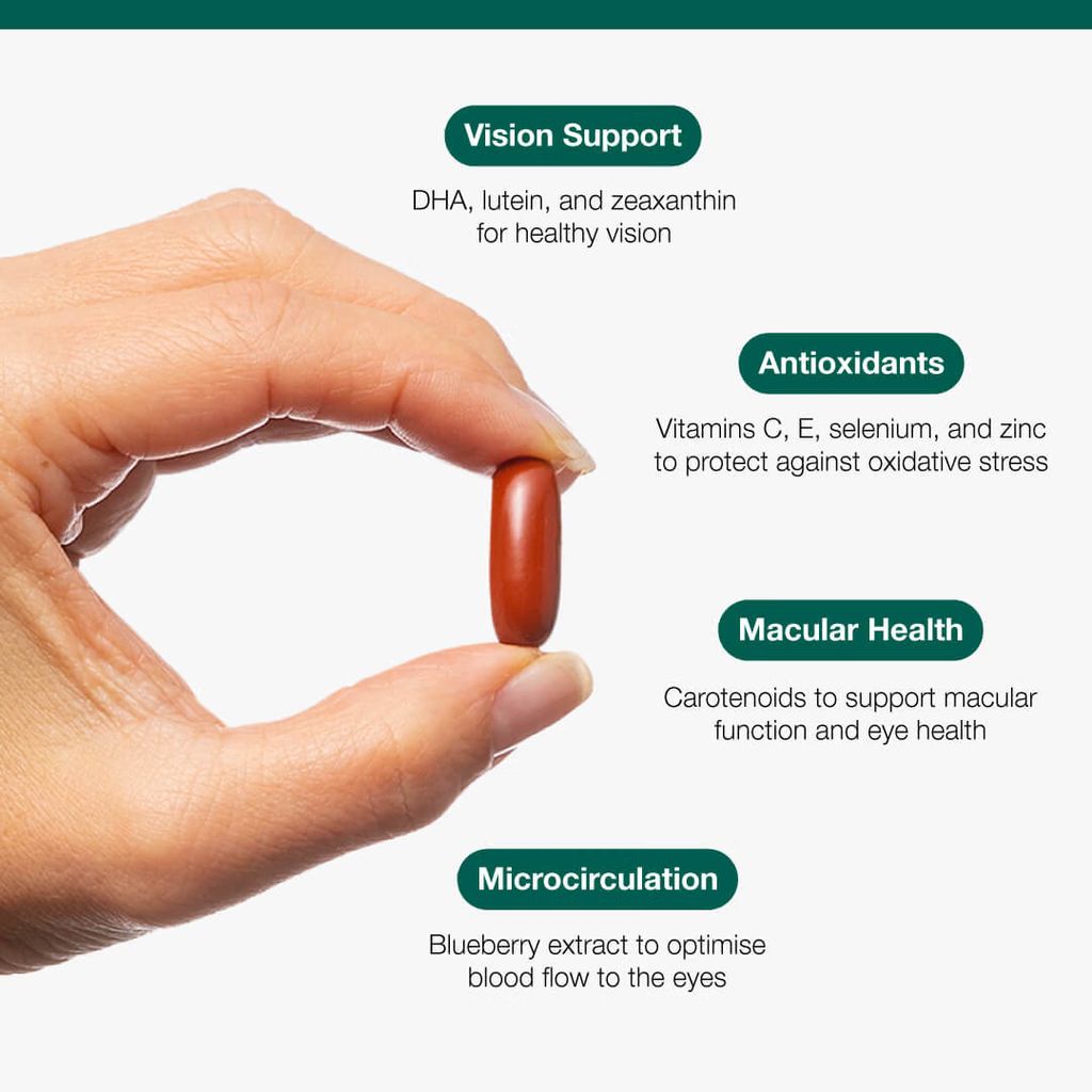 Vision Plus - Image 3