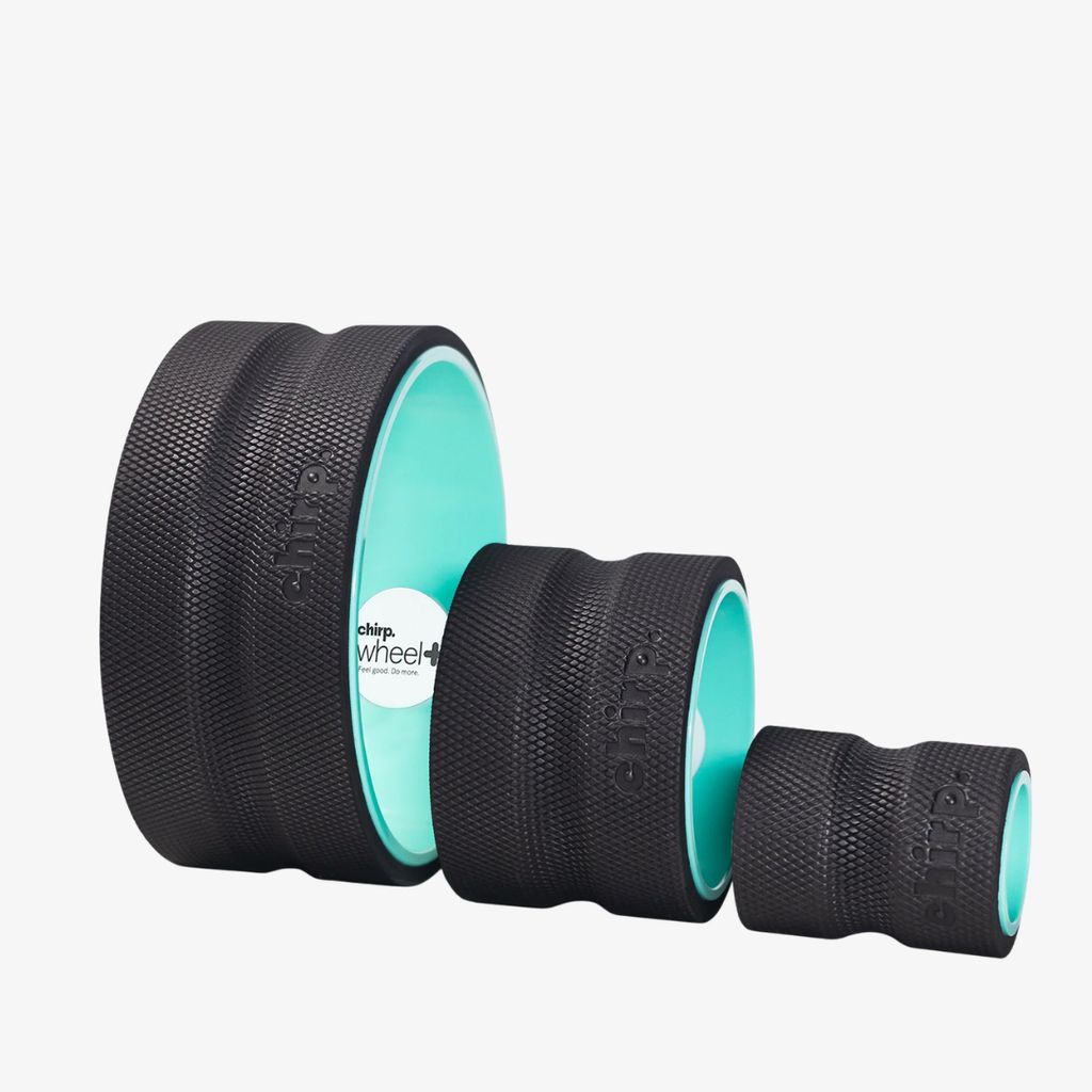 Chirp Wheel+ 3-Pack (10" / 6" / 4") - Image 1