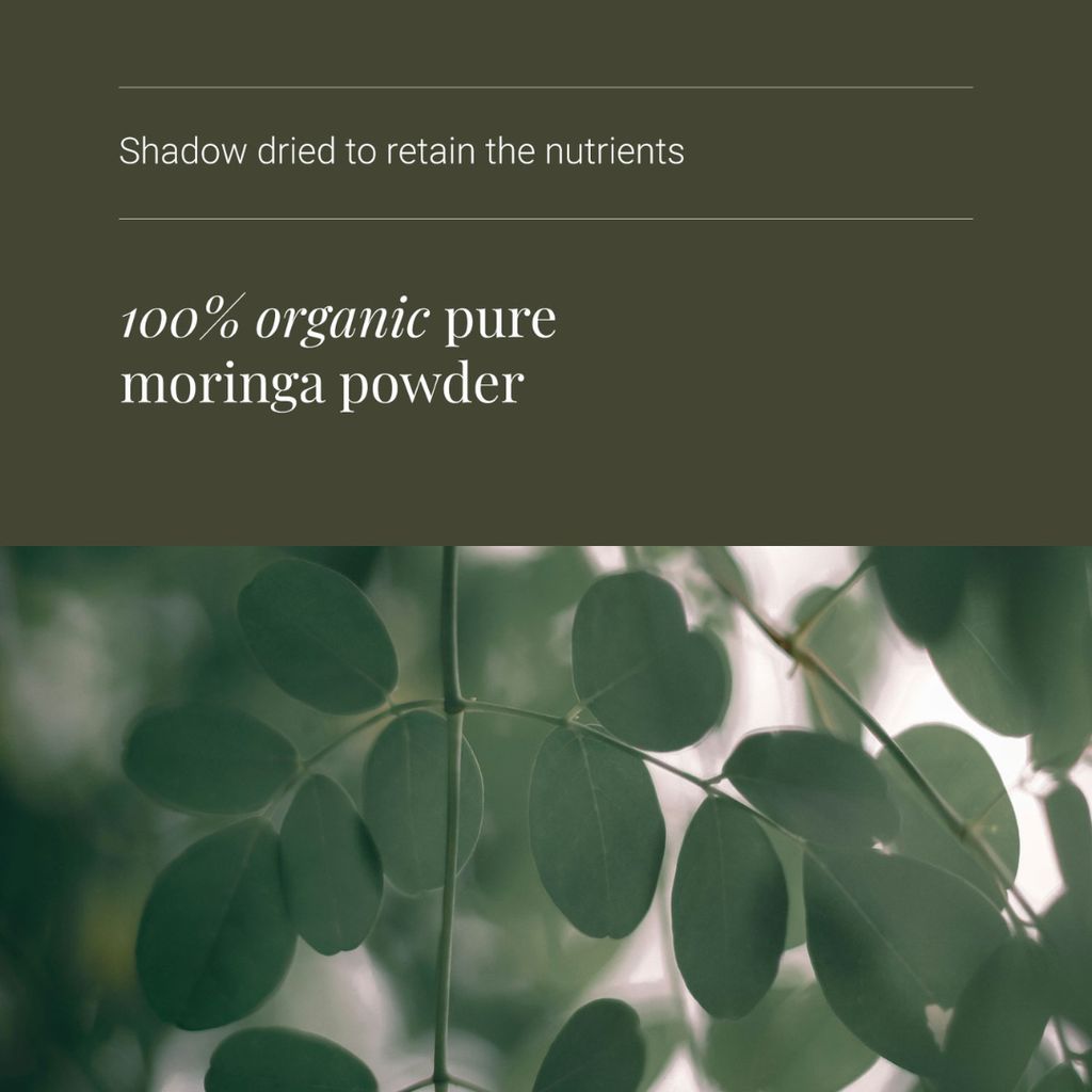 Moringa Leaf - Image 4