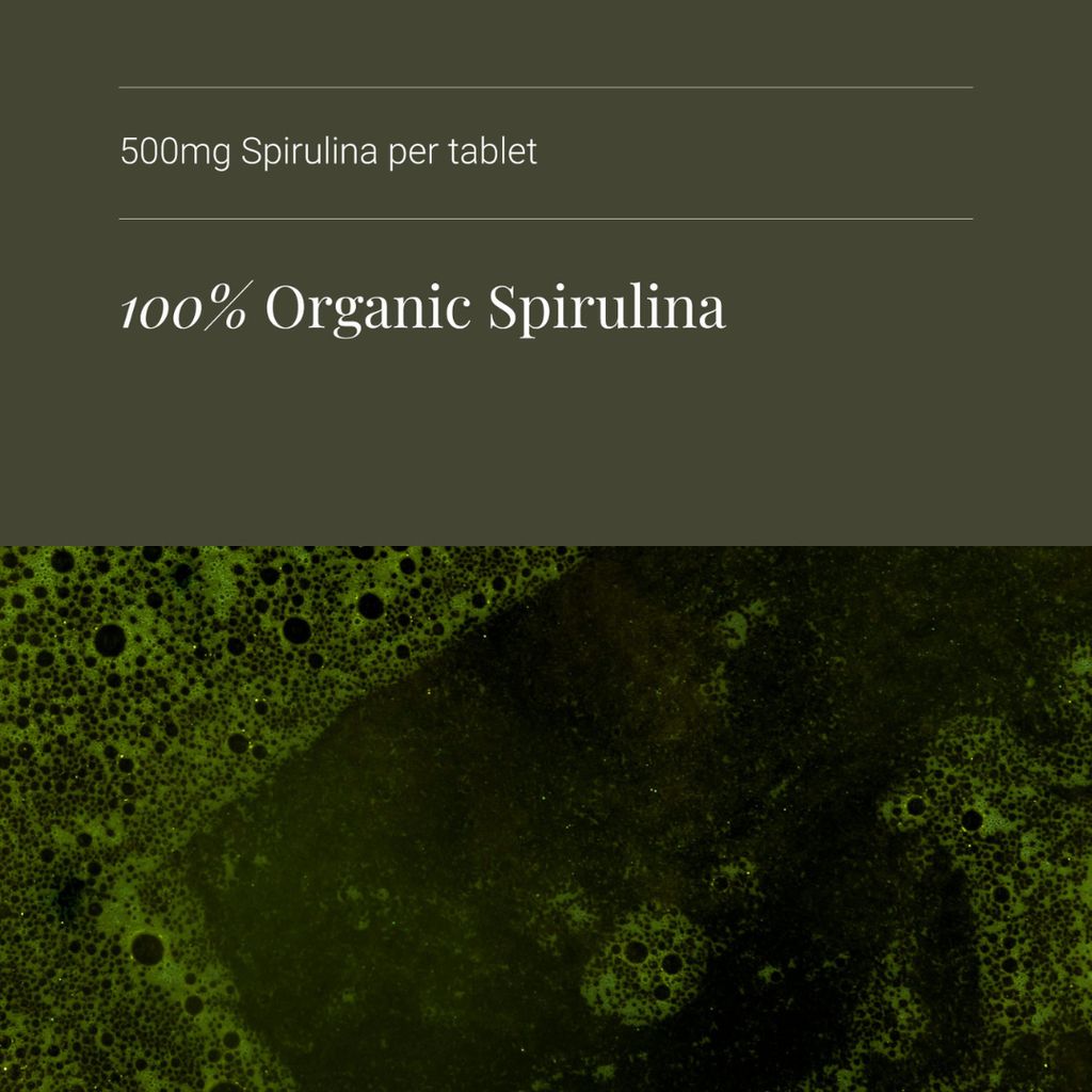 Spirulina - Image 4