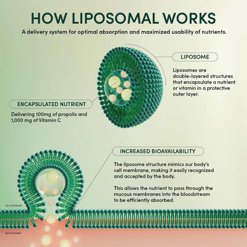 Propolis Stress Support Liposomal - Image 6