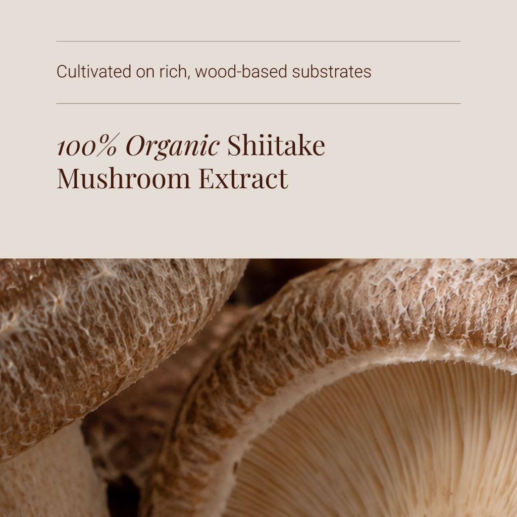 Shiitake Extract - Image 4