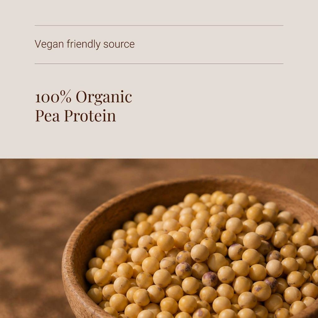 Pea Protein Powder - Image 4