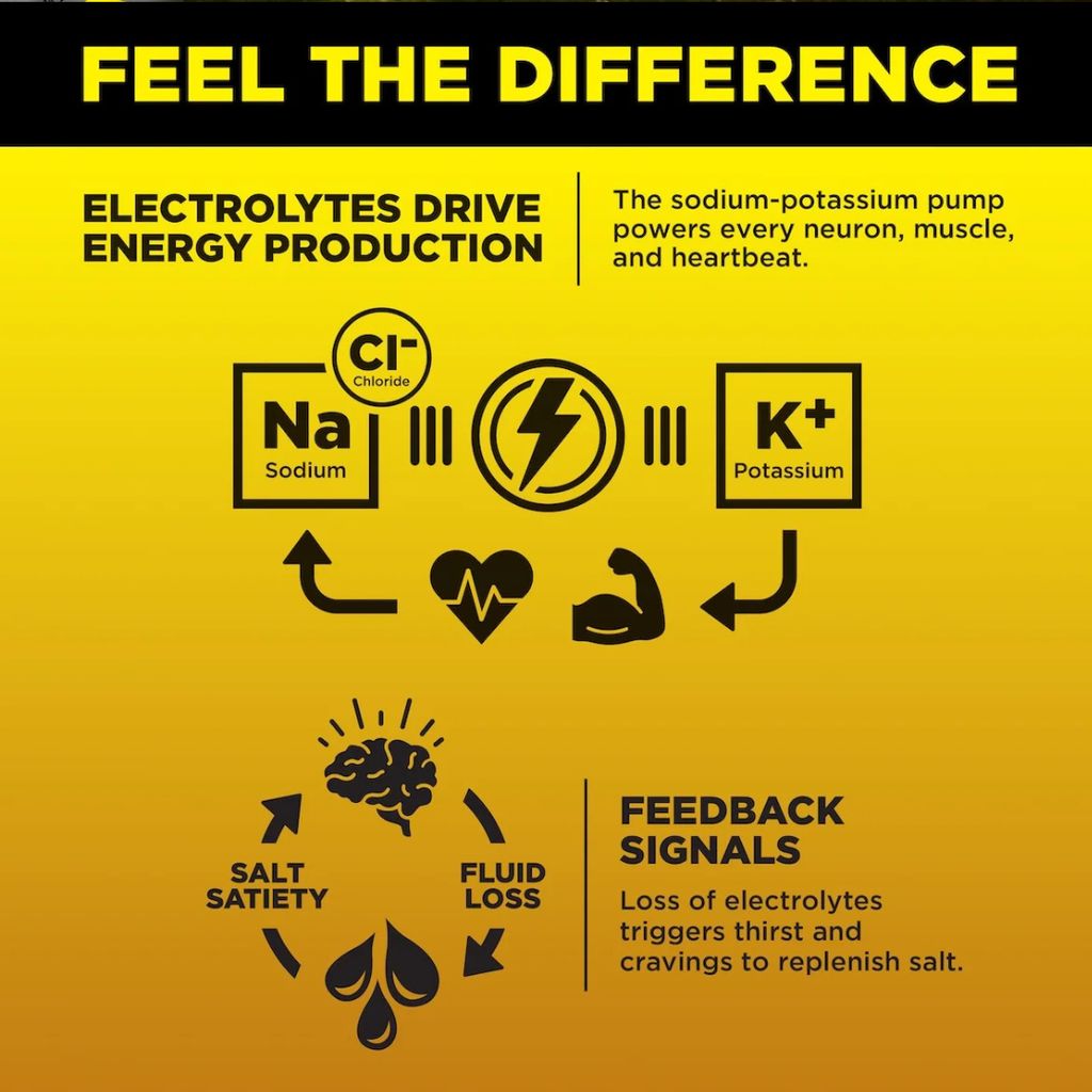 Recharge Electrolytes - Lemonade Iced Tea - Image 6