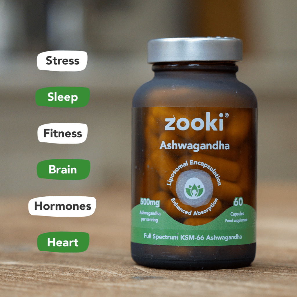 Liposomal Ashwagandha KSM-66 - 500mg - Image 2