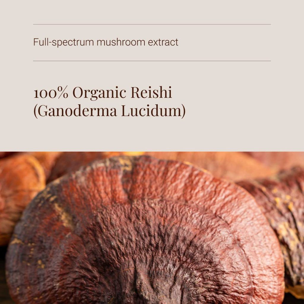 Reishi Mushroom Extract - Powder - Image 4