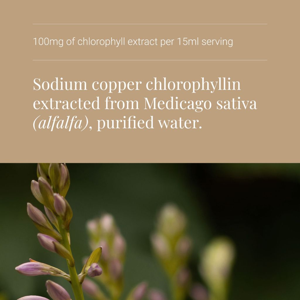 Liquid Chlorophyll - Image 4