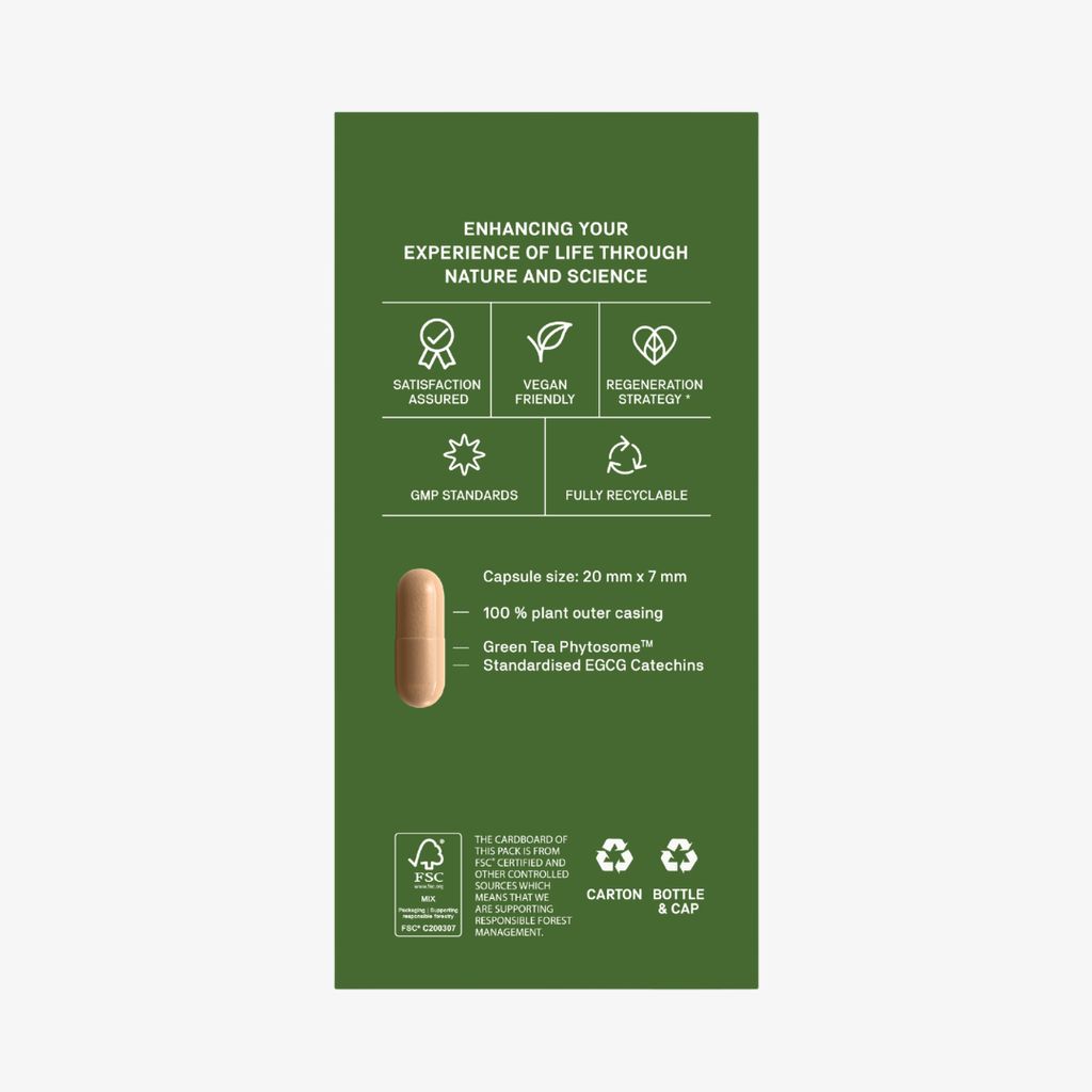 Green Tea Bioactive - Image 4