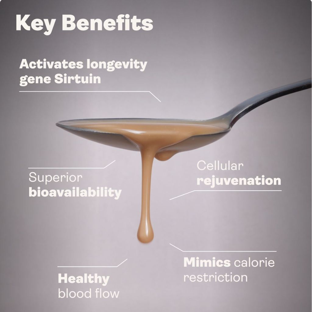 Liposomal Resveratrol 200mg – Wild Berry Flavour - Image 3