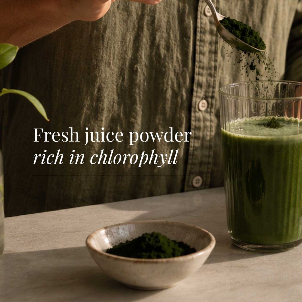 Wheatgrass Juice - Powder - Image 5