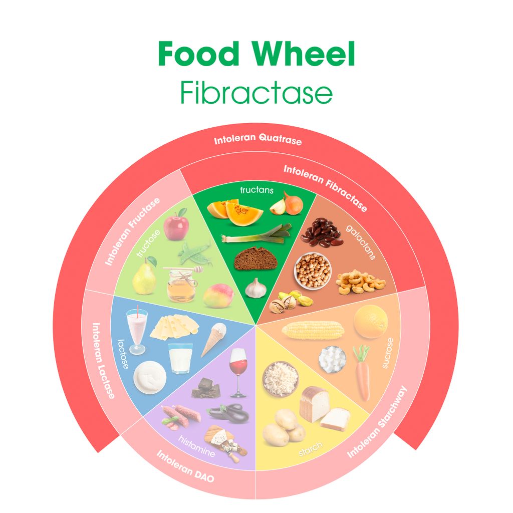 Fibractase 1200 - Image 4