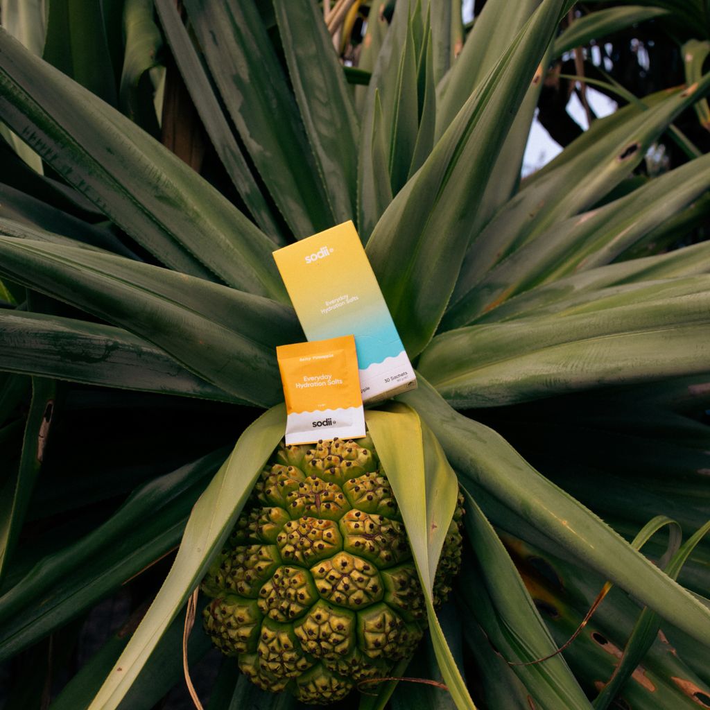 Everyday Hydration Salts - Salty Pineapple - Image 6