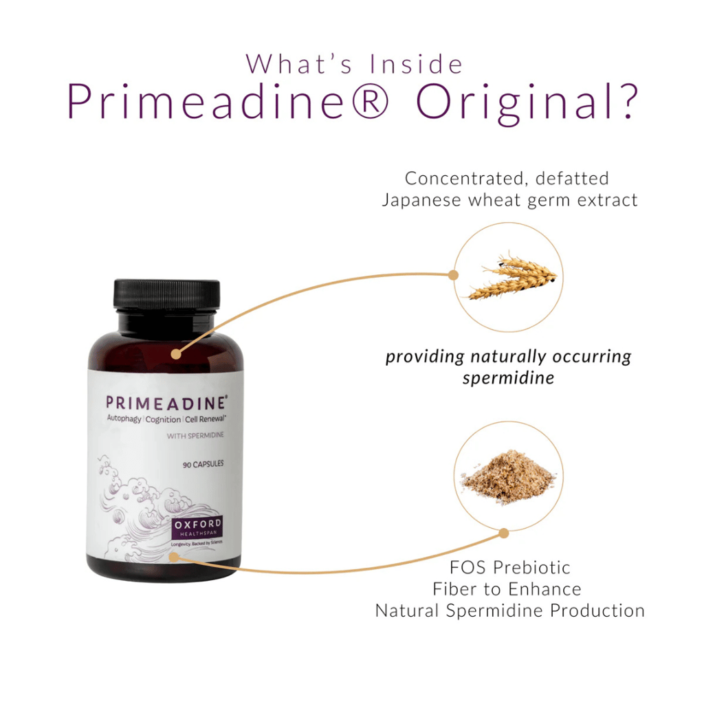 Primeadine® Original Spermidine - Image 3