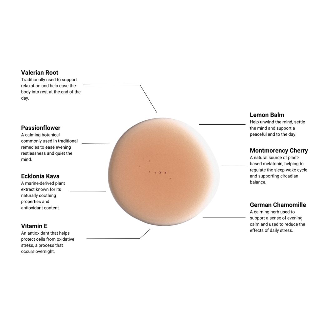 Was It All A Dream? | Liquid Relaxation Supplement - Valerian Root, Passionflower & Montmorency Cherry - Image 3