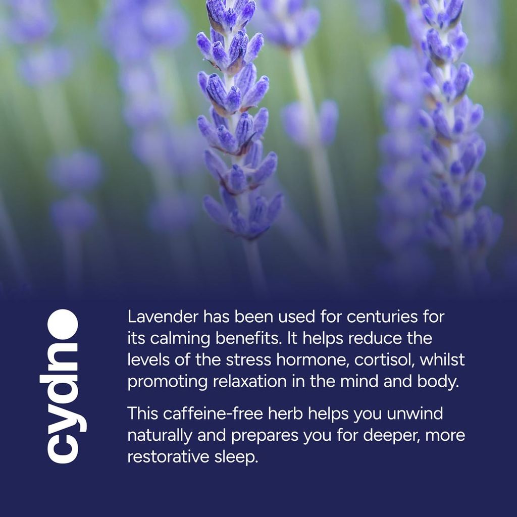 Sleepy Tea - Lavender - Image 5