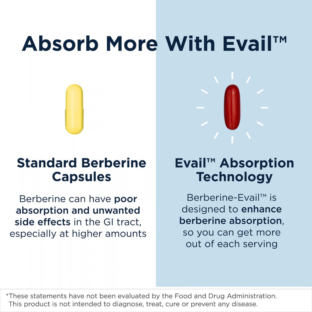 Berberine Synergy - Image 5