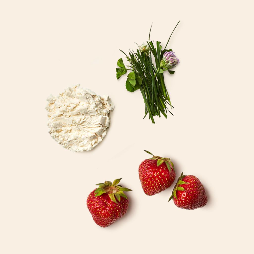 Whey Protein Isolate Powder - Strawberry Milk - Image 5