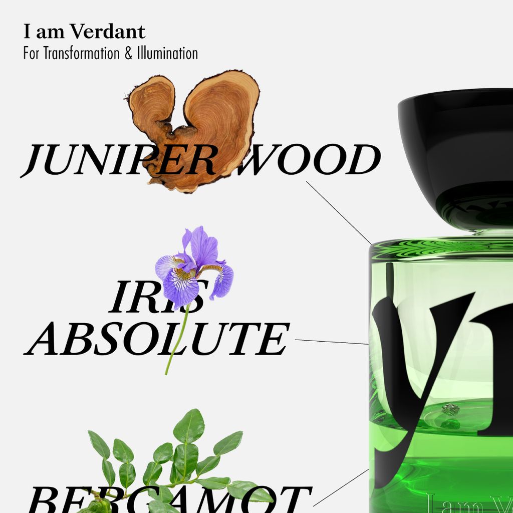 I am Verdant EDP for Transformation & Renewal - Image 2