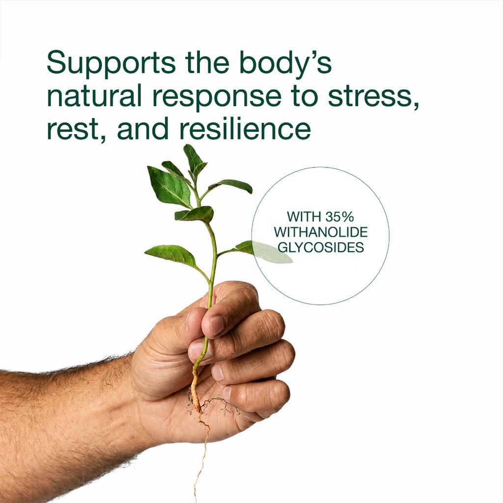 Ashwagandha Bioactive - Image 3