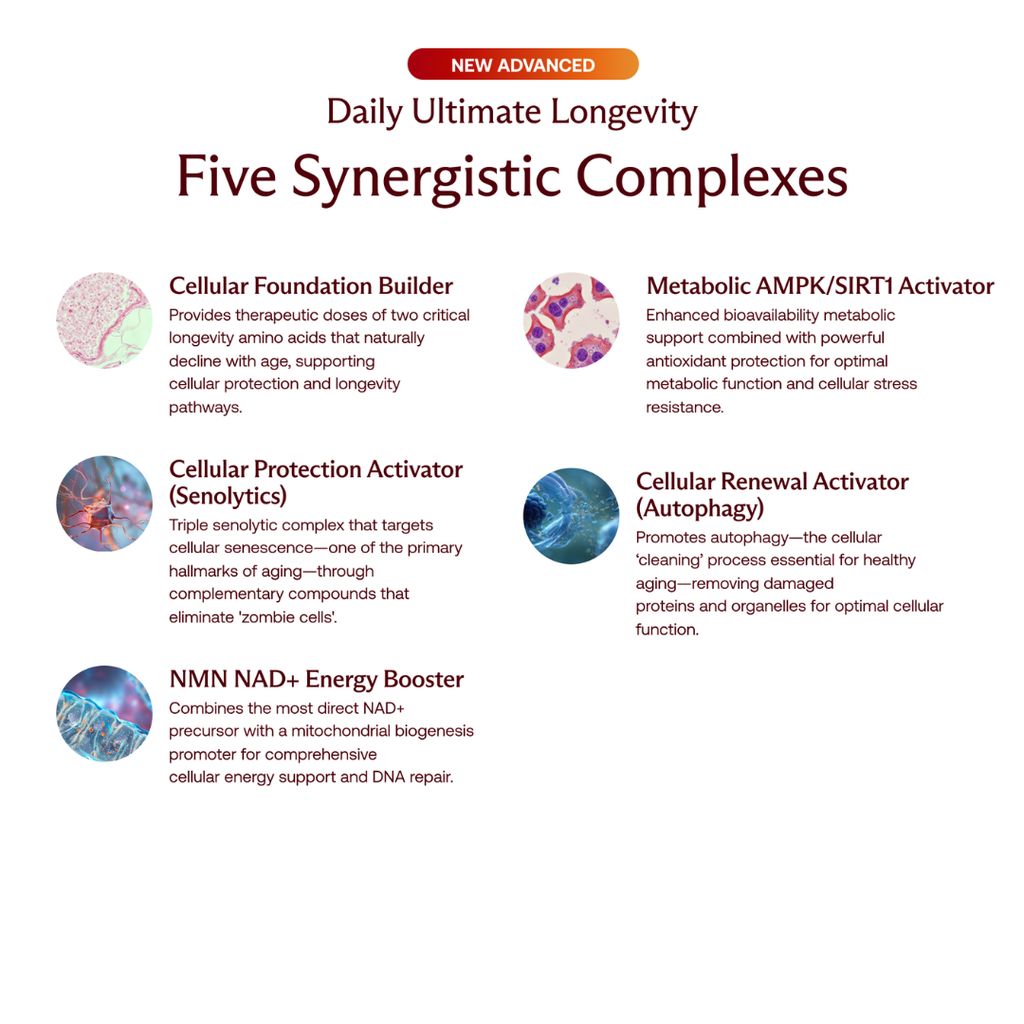 The Beckham Stack: Essentials + Longevity Set - Variety Pack - Image 7
